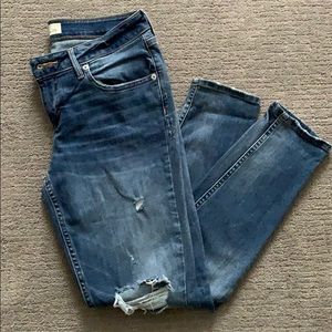 Distressed skinny jeans (Maurices)